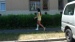03 vidpic